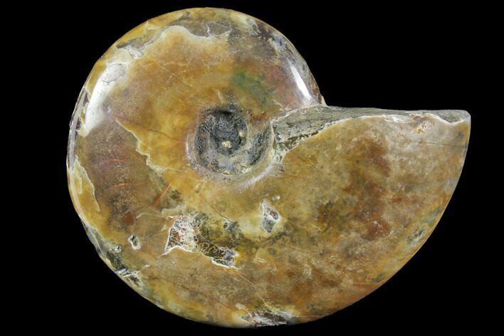 Red Flash Ammonite Fossil - Madagascar #151776